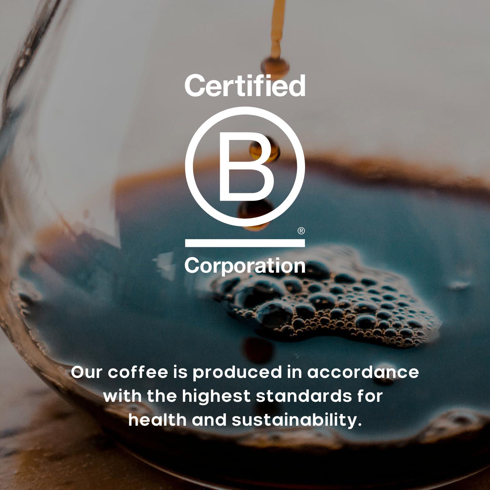 PURITY COFFEE Purity Coffee PROTECT Highest Antioxidant Light-Medium Roast - USDA Certified Organic Specialty Grade Arabica Whole Bean Coffee - Third Party Tested for Mold, Mycotoxins, Pesticides - 12 oz Bag