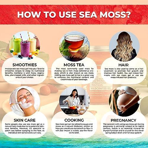 WELLNESS LABSRX Irish Sea Moss Gel Organic Raw - Wildcrafted Superfood Seamoss Gel - Strawberry Flavor, Vitamin and Mineral-Rich from Pristine Caribbean Waters, Immune and Digestive Health Support - 10 oz.