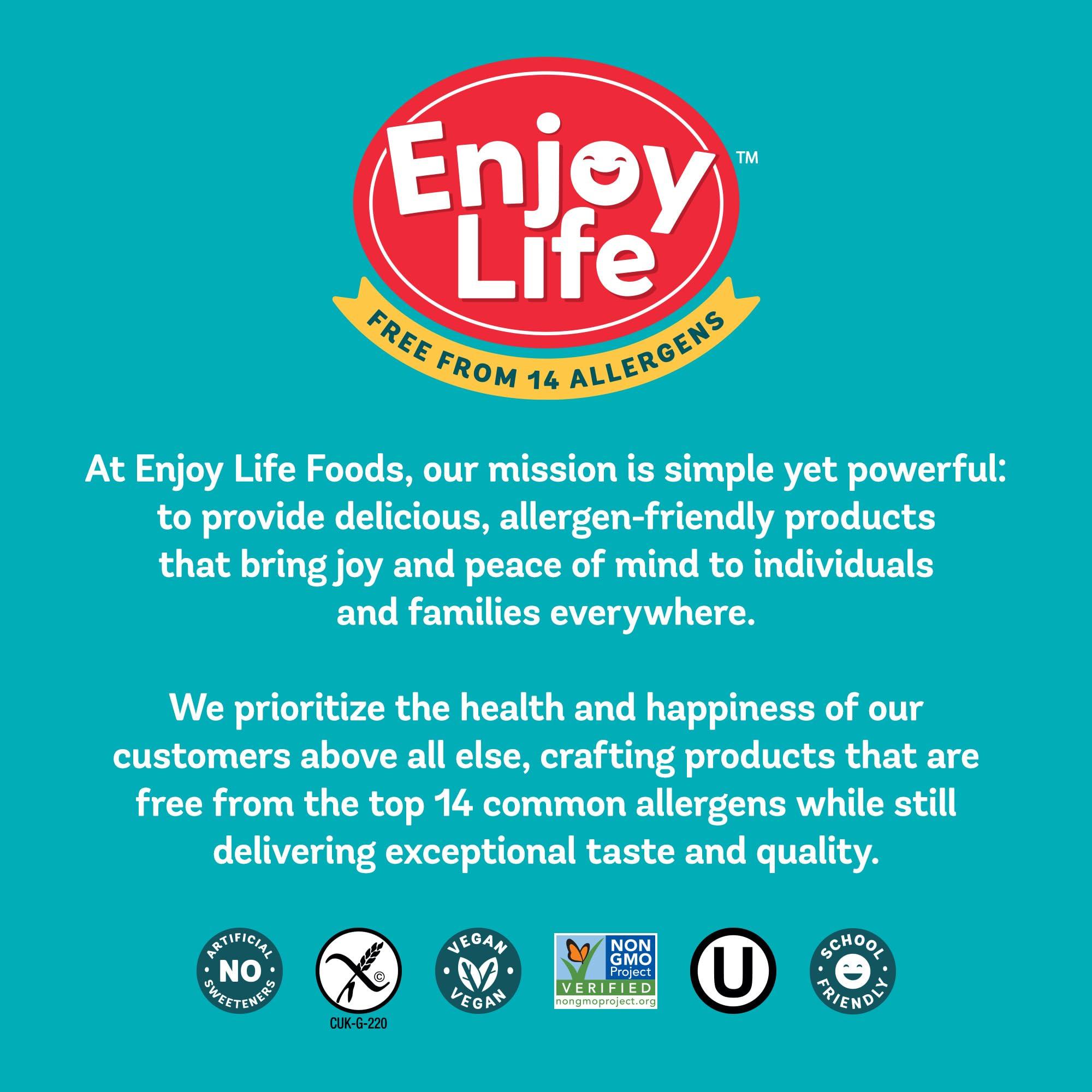 Enjoy Life Foods Enjoy Life Baking Dark Chocolate Morsels, Dairy Free , Soy Free, Nut Free, Non GMO, Gluten Free, Vegan Chocolate Chips, 9 oz bag