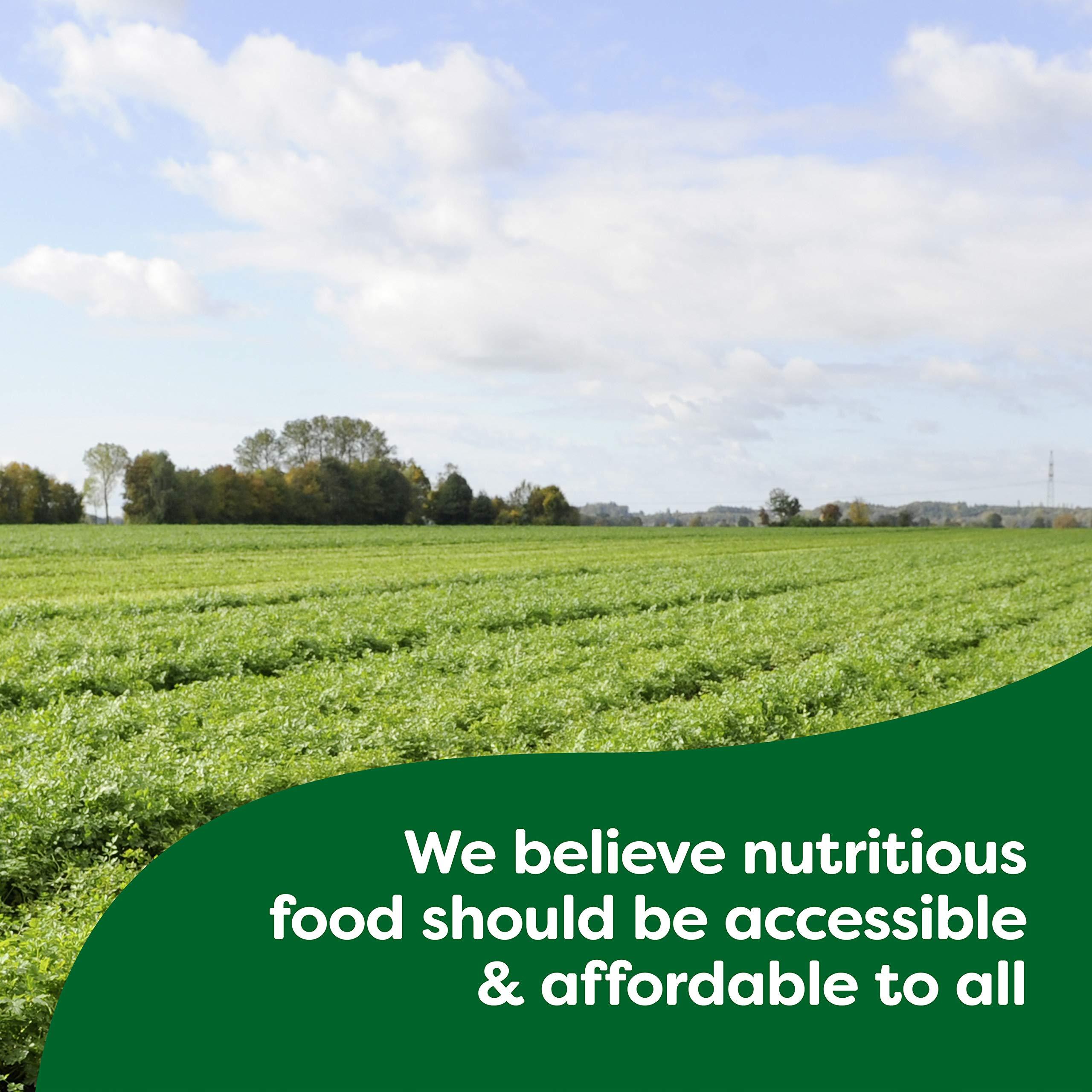 Knorr Knorr Pasta Sides For a Delicious Easy Pasta Meal Chicken Fettuccine No Artificial Flavors Or Preservatives 8.6 oz, 7 Count (Pack of 2)