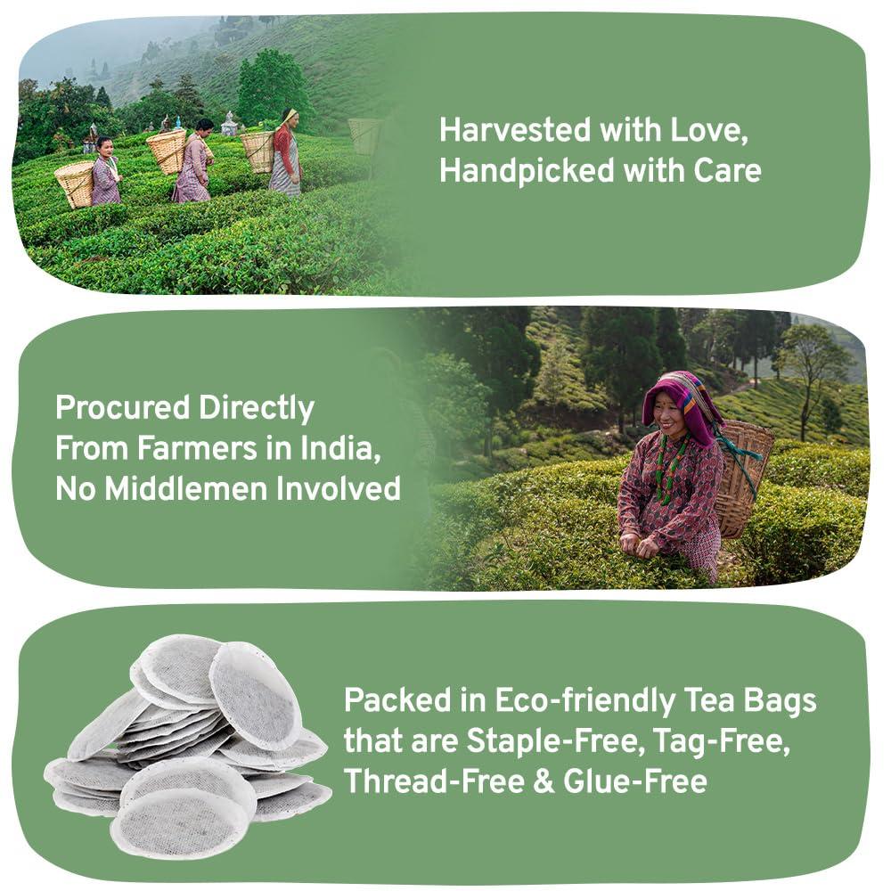 HANDPICK HANDPICK, Organic Green Tea Bags - 100 Eco-Friendly Tea Bags | USDA Organic | Resealable Pack for Freshness | Delicate & Flavory | Direct From India