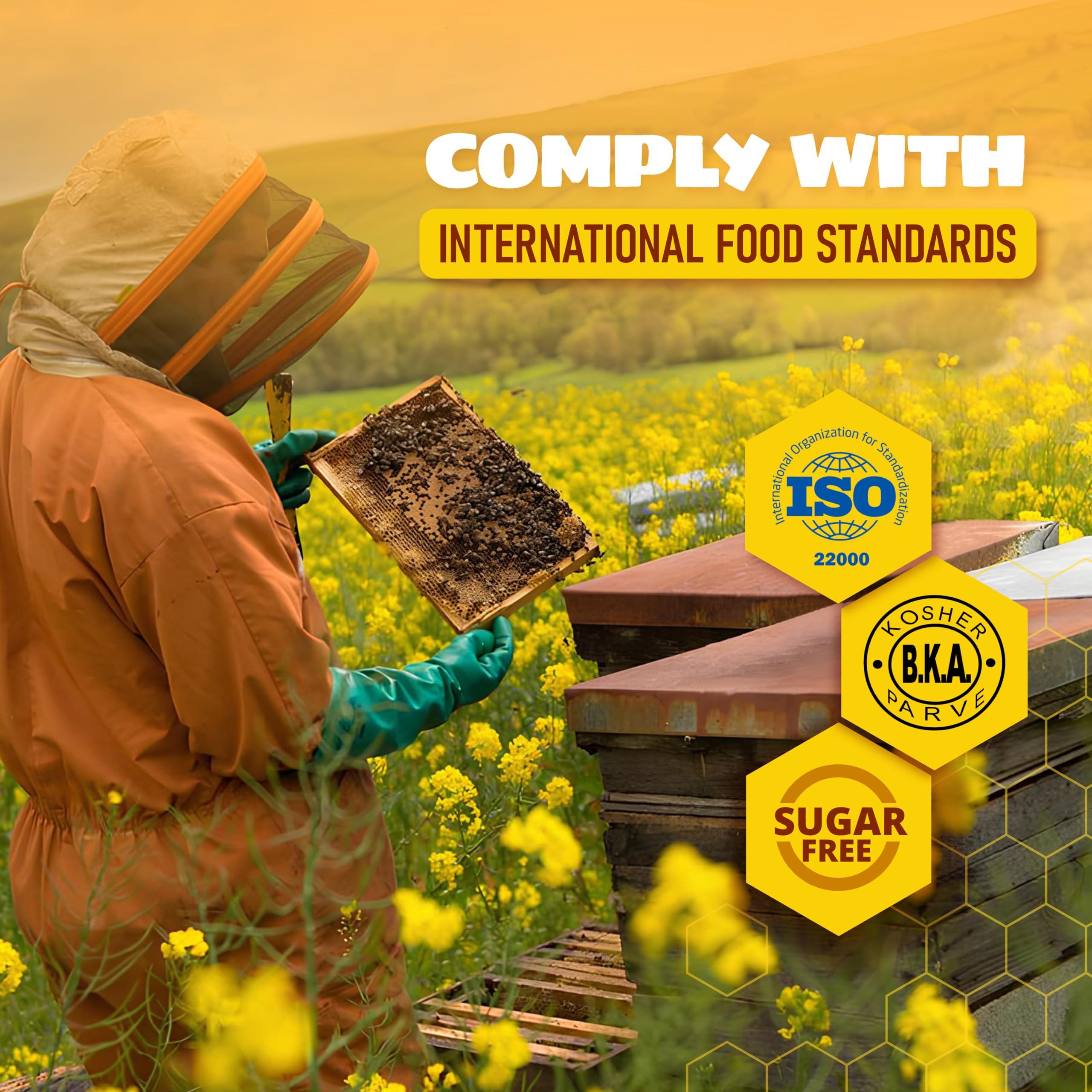 Beelife Beelife Pure Honey Packets, Sugar Free Honey Packets Single Serve - Raw Unfiltered Honey, Mini Honey Packs- From Brazil, Certified ISO 22000, Kosher- Raw Honey Packets (180 units/ 4g per unit)