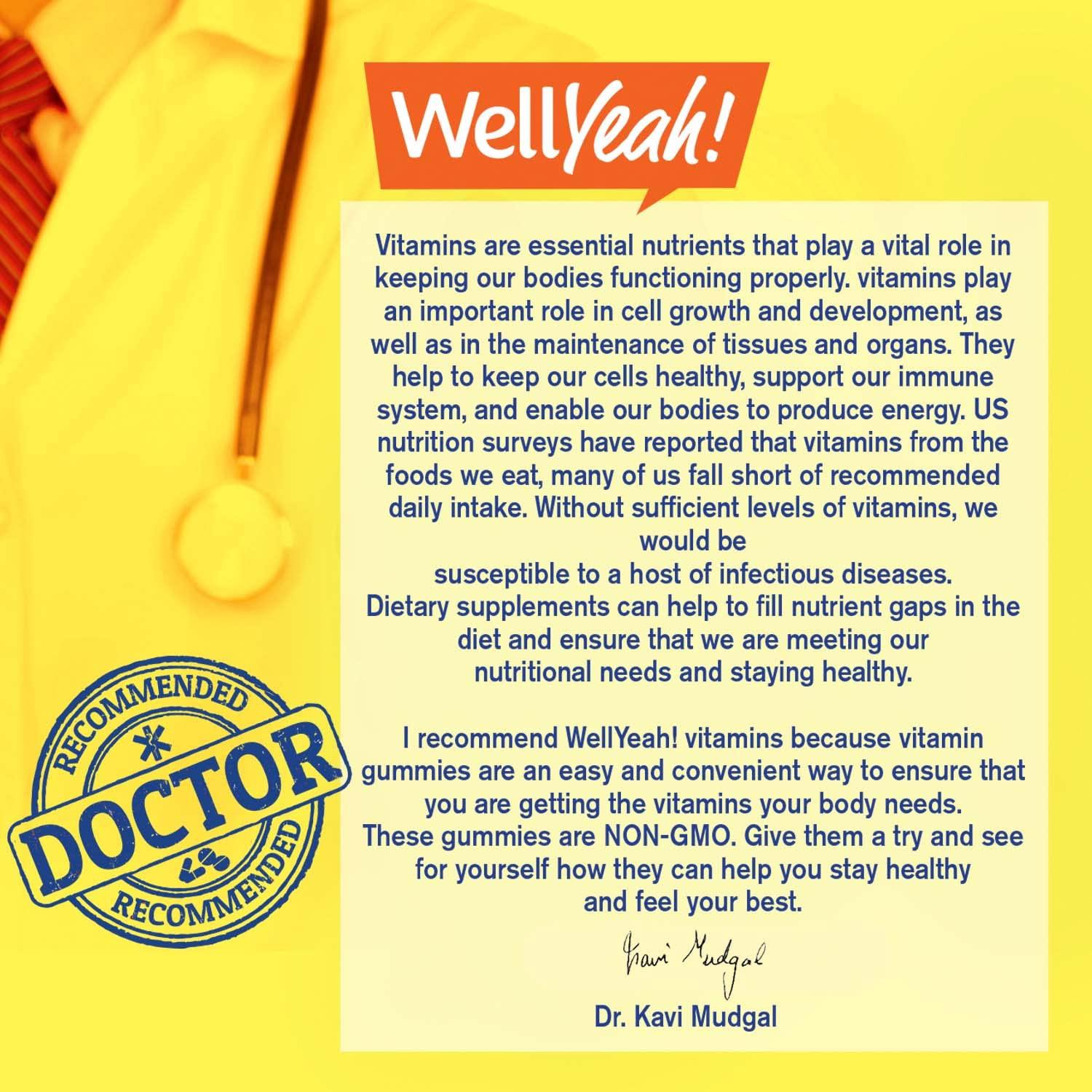 WellYeah WellYeah Iron Gummies for Kids with Vitamin C - Anemia Support, Red Blood Cell Formation, Energy, and Immunity Support Gummy, Iron Supplements for Kids - GMO Free, Natural Grape Flavor - 60 Count