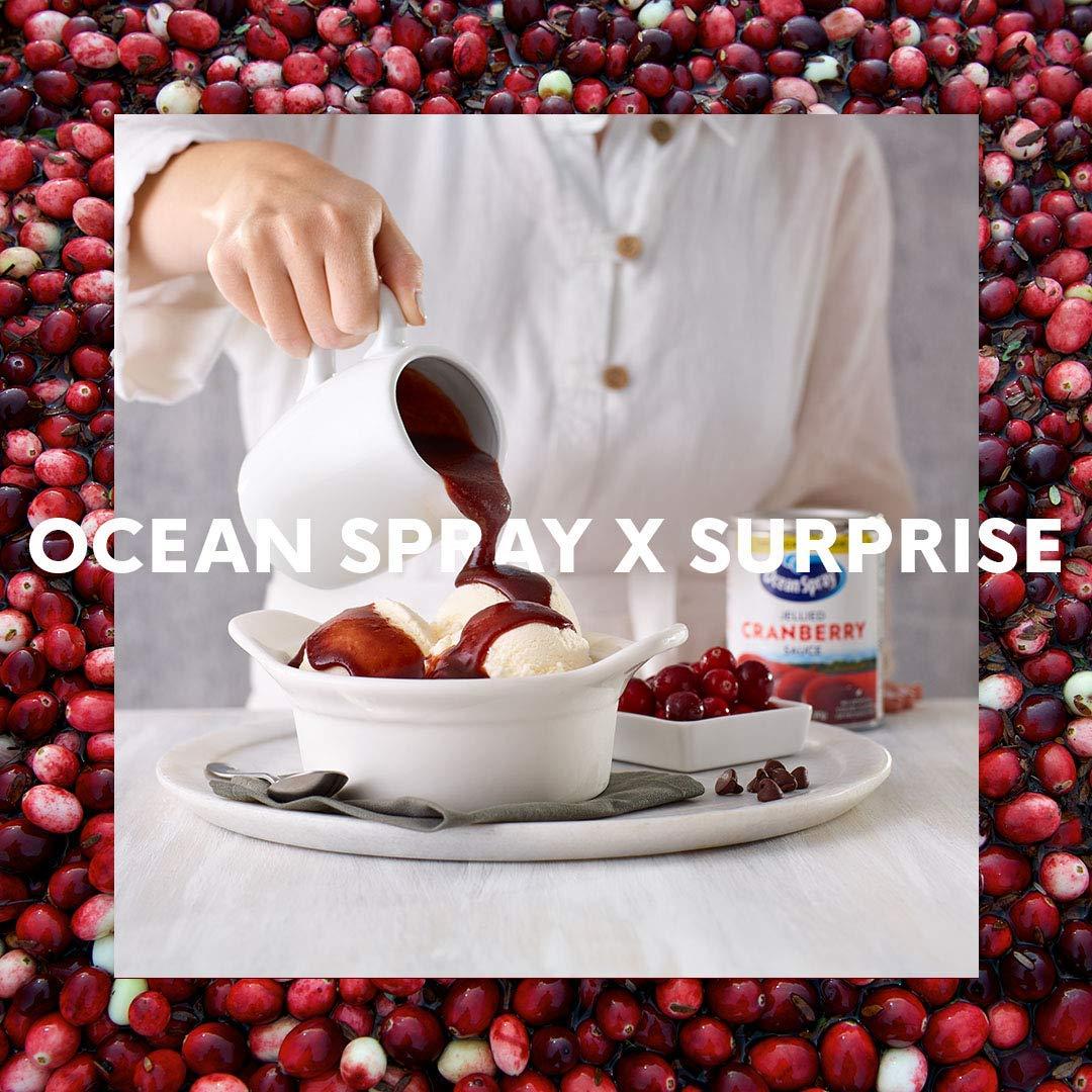 Ocean Spray - Ocean Spray Jellied Cranberry Sauce 14 oz (Pack of 12)