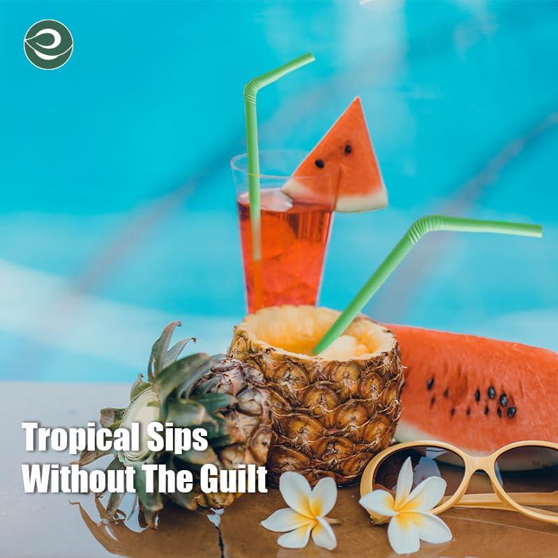 ECO SOUL ECO SOUL 100% Compostable Straws [100 Count][8.25\"] Eco-Friendly Biodegradable Sustainable Disposable Straws, Cocktail Cold Drink Smoothie Bendable Straws