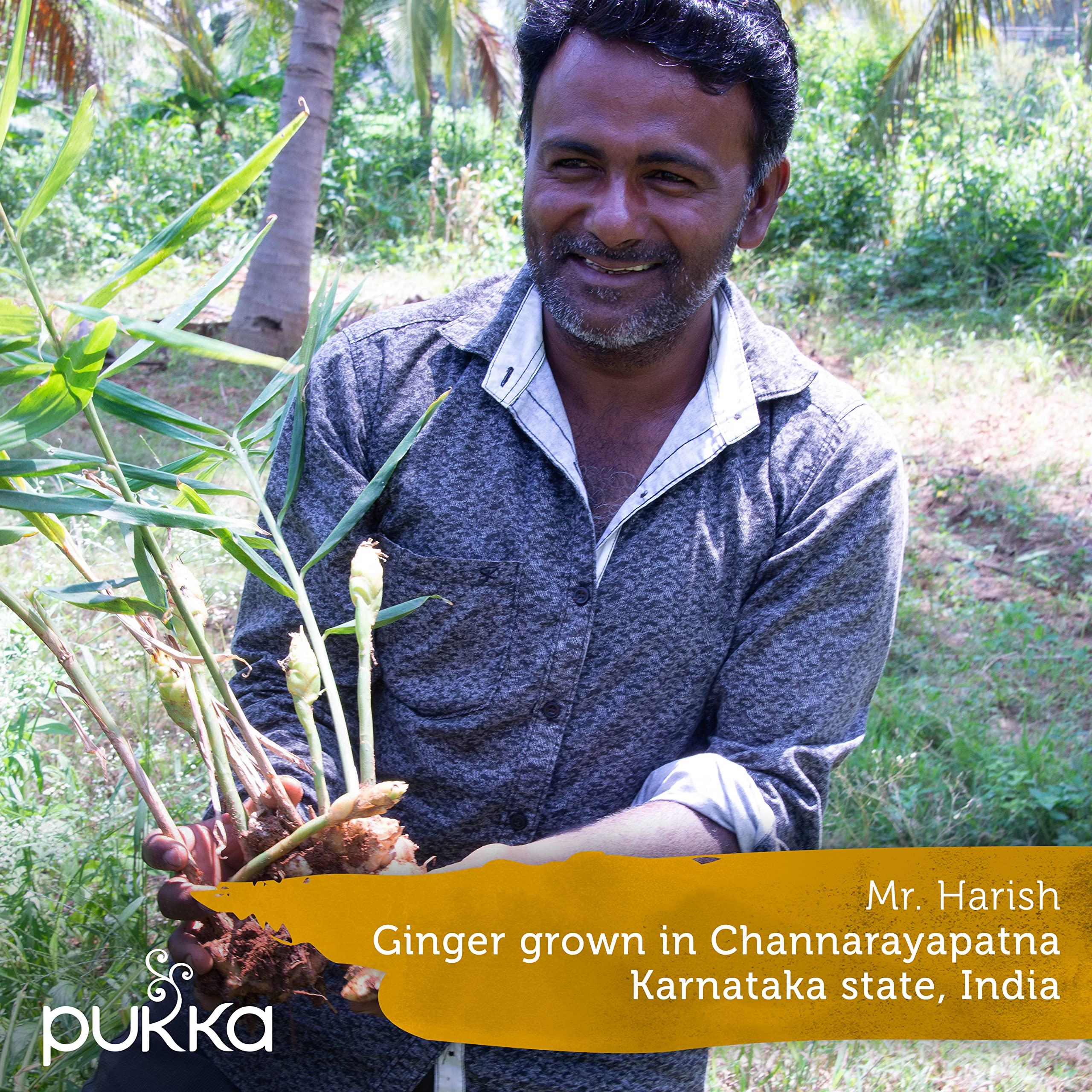 Pukka Pukka Herbs Organic Tea Bags, Lemon, Ginger & Manuka Honey Herbal Tea, Perfect for Everyday Wellness, 20 Count (Pack of 3) 60 Tea Bags