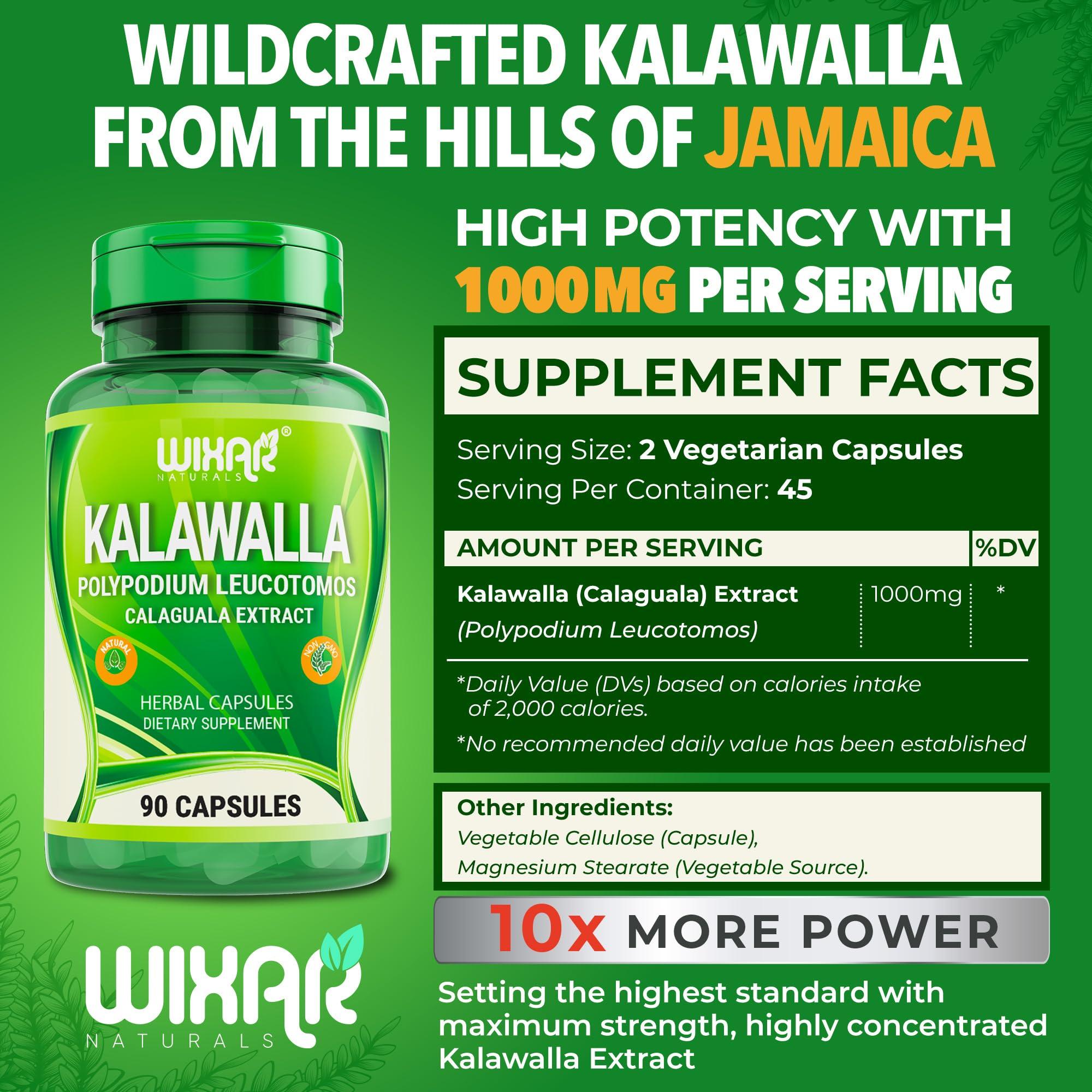 WIXAR NATURALS Wixar Kalawalla Capsules Kalawalla Root & Fern Leaves Calaguala Extract Herb with Polypodium Leucotomos Pills - Vegetarian Immune, Skin, Alkaline Support Supplements for Men & Women 90 Capsules