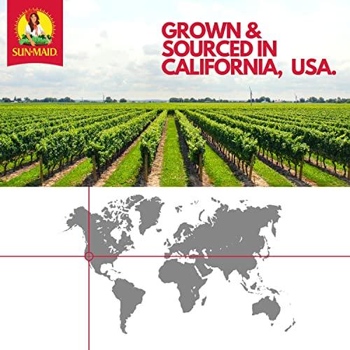 Sun-Maid Sun-Maid, Fruity Raisin Snacks, Sour Mixed Berry, 1.33 Ounce Snack-Size For Kids (200 Total Pouches)