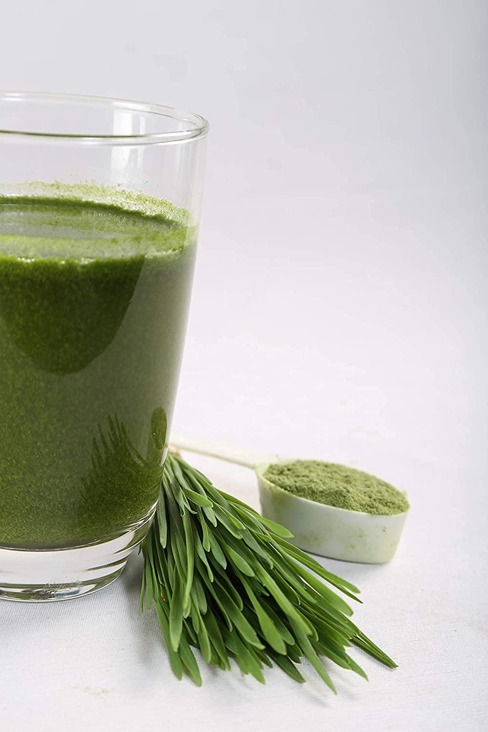 Astha Astha Girme's Wheatgrass Powder - 100g Single Bottle