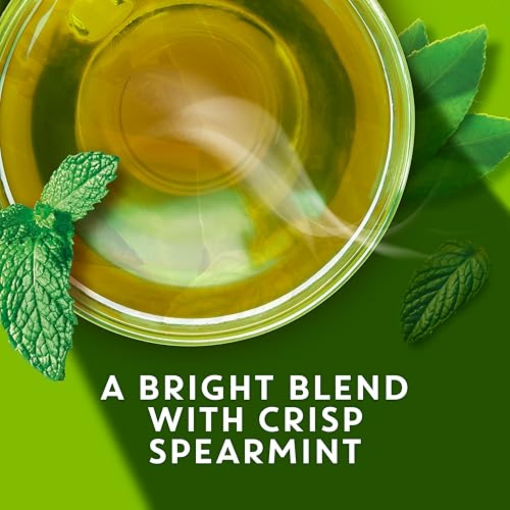 TAZO TAZO Organic Zen Green Tea Bags, 144 Total Tea Bags (36ct - Pack of 4)