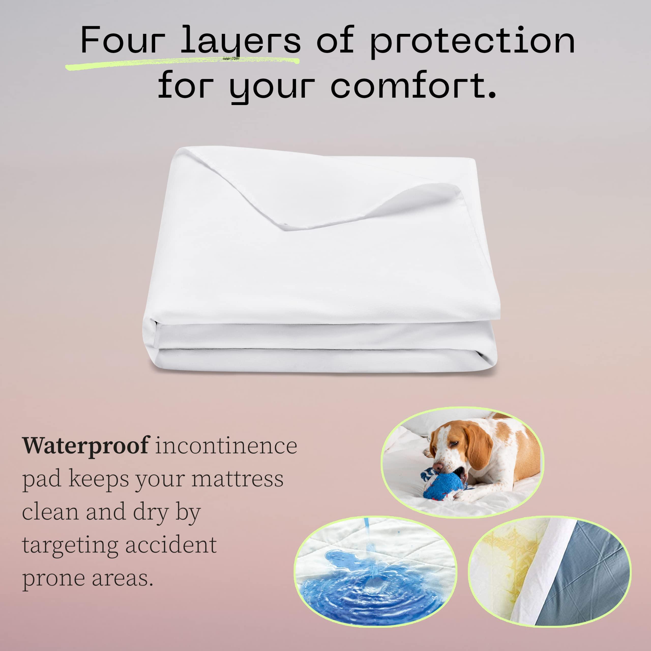 Coop Home Goods Coop Home Goods Waterproof Four Layer Bed Underpad for Incontinence, Queen, Washable Mattress Pad, Reusable Waterproof Mattress Cover, Bed Pads for Adults, Seniors, Children, Pets, Queen (60x39.5)