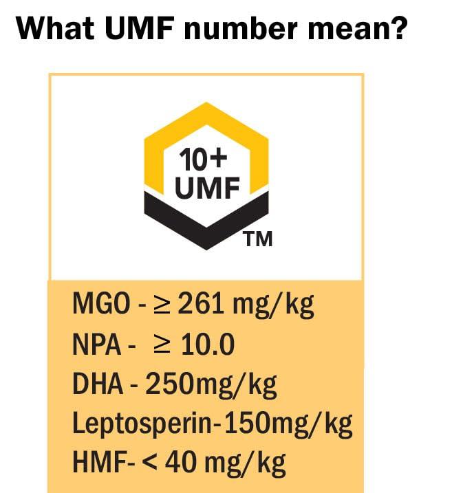 API Health Manuka Honey UMF 10+ (MGO 261+) Pure New Zealand Honey, 1.1 lb (500g)