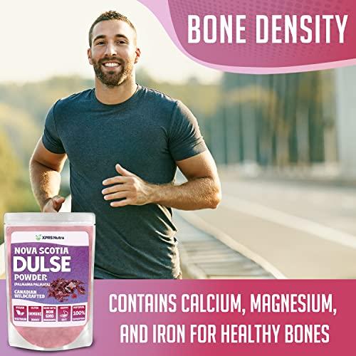 XPRS Nutra XPRS Nutra Dulse Powder (Palmaria Palmata) - Canadian Wildcrafted Nova Scotia Dulse Powder for Thyroid and Bones - Vegan Friendly Atlantic Dulse Powder (4 Ounce)