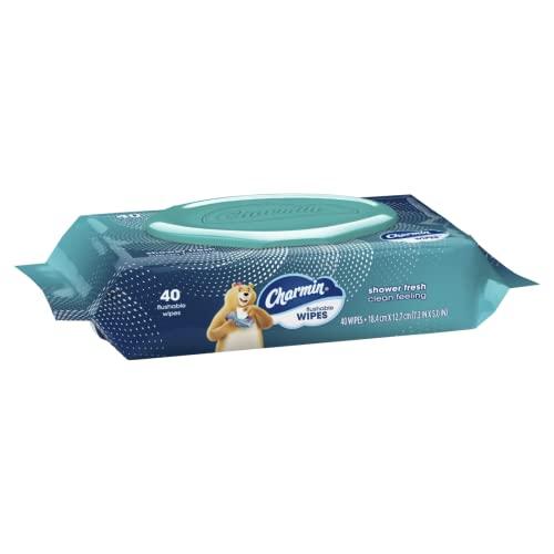 Charmin Charmin Freshmates Flushable Wipes with Refillable Tub (Pack of 2)
