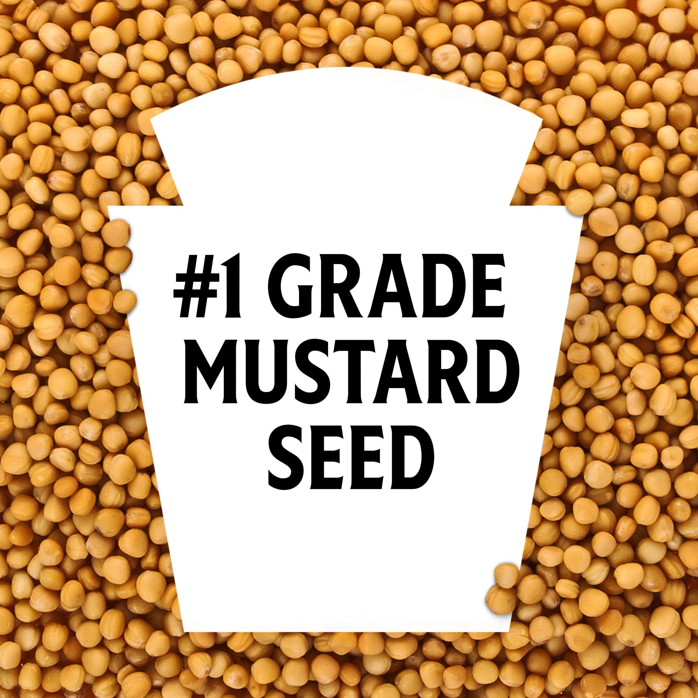 Heinz Heinz Yellow Mustard (20 oz Bottle), Packaging May Vary