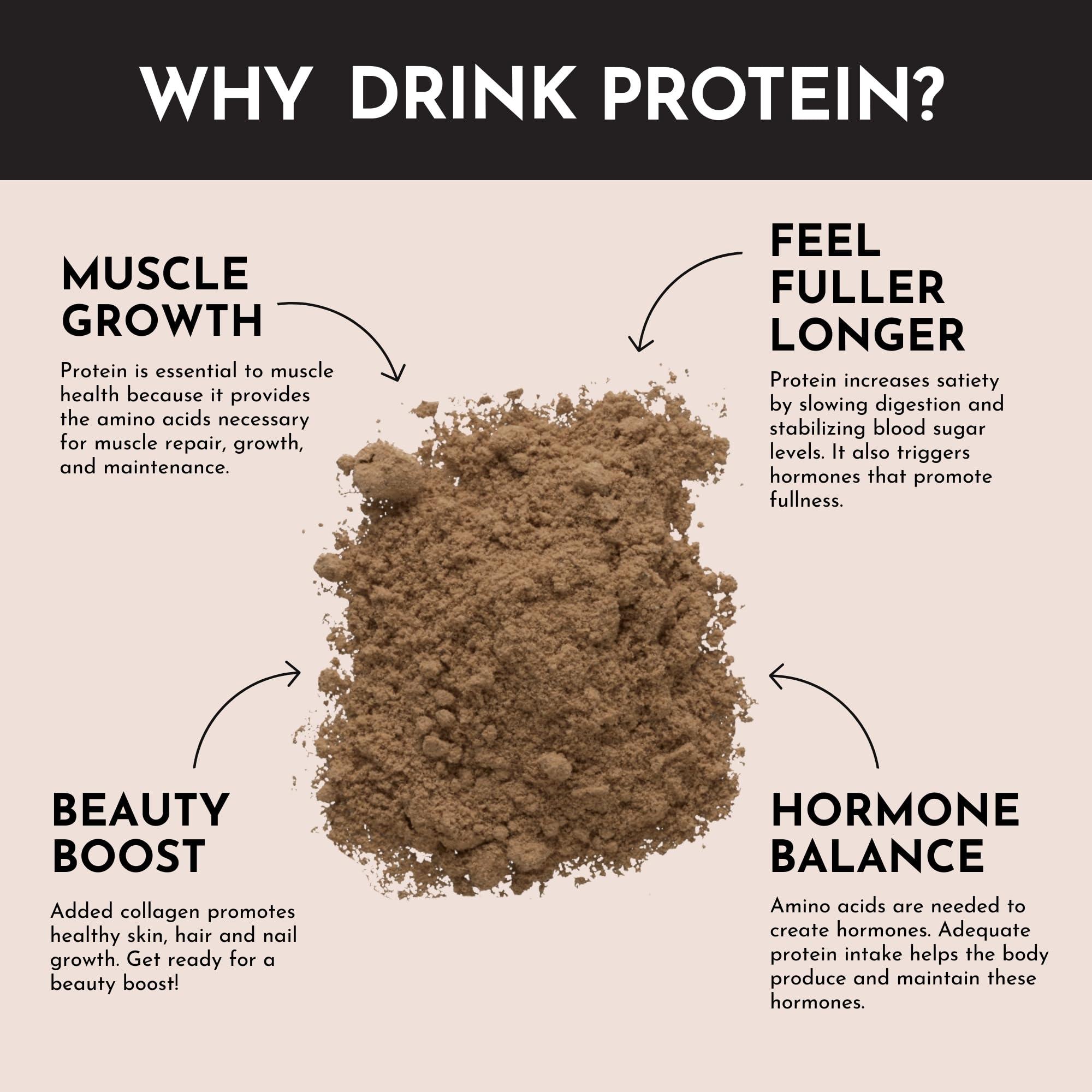 JUST INGREDIENTS JUST INGREDIENTS Chocolate Protein Powder | 15 Servings | 100% Grass-Fed Whey | Non-GMO, Gluten-Free, No Artificial Flavors