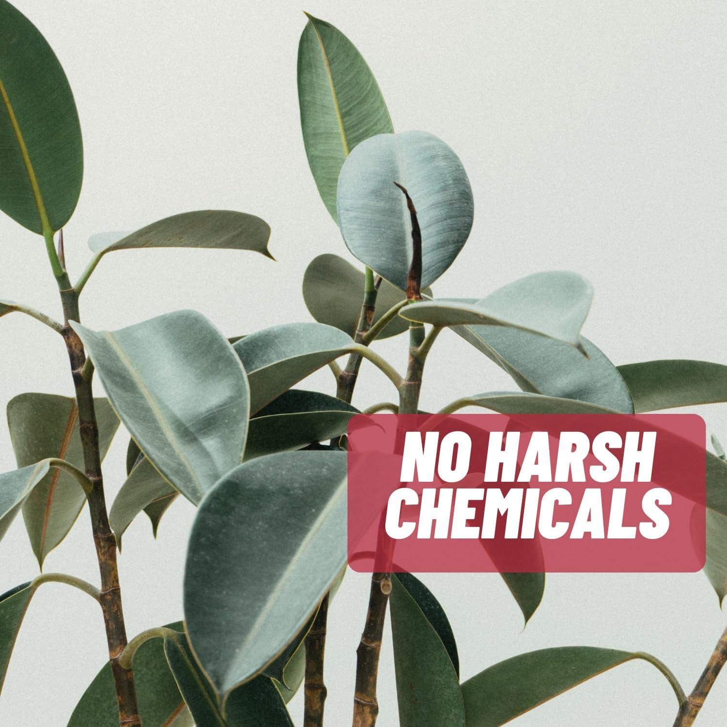 Acnetame Acnetame Acne Pills 30 Day- Supplements for Acne Vitamin Treatment- Tablets to Clear Oily Skin for Women, Men, Teens, and Adults