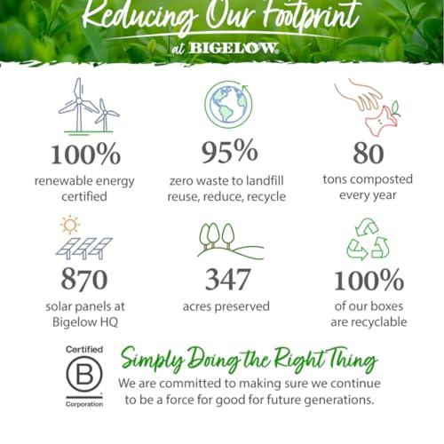 GU GU Energy Original Sports Nutrition Energy Gel, Vegan, Gluten-Free, 8-Count Tri-Berry and Salted Caramel Flavor Bundle