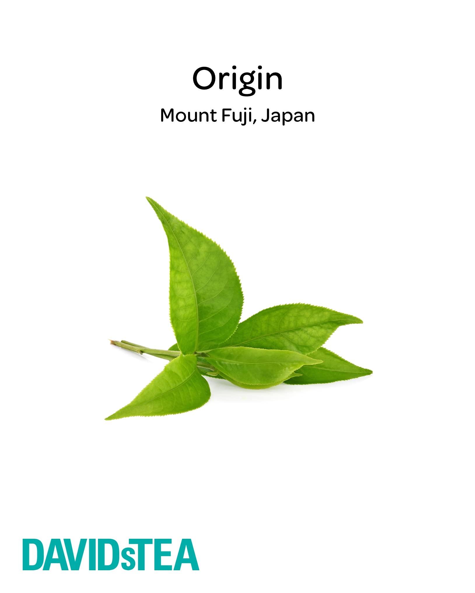 DAVIDsTEA DAVIDsTEA Organic Japanese Sencha Sachets Tea Bags, Premium Green Tea in 65 Sachet Tea Bags, 97.5 g / 3.43 oz