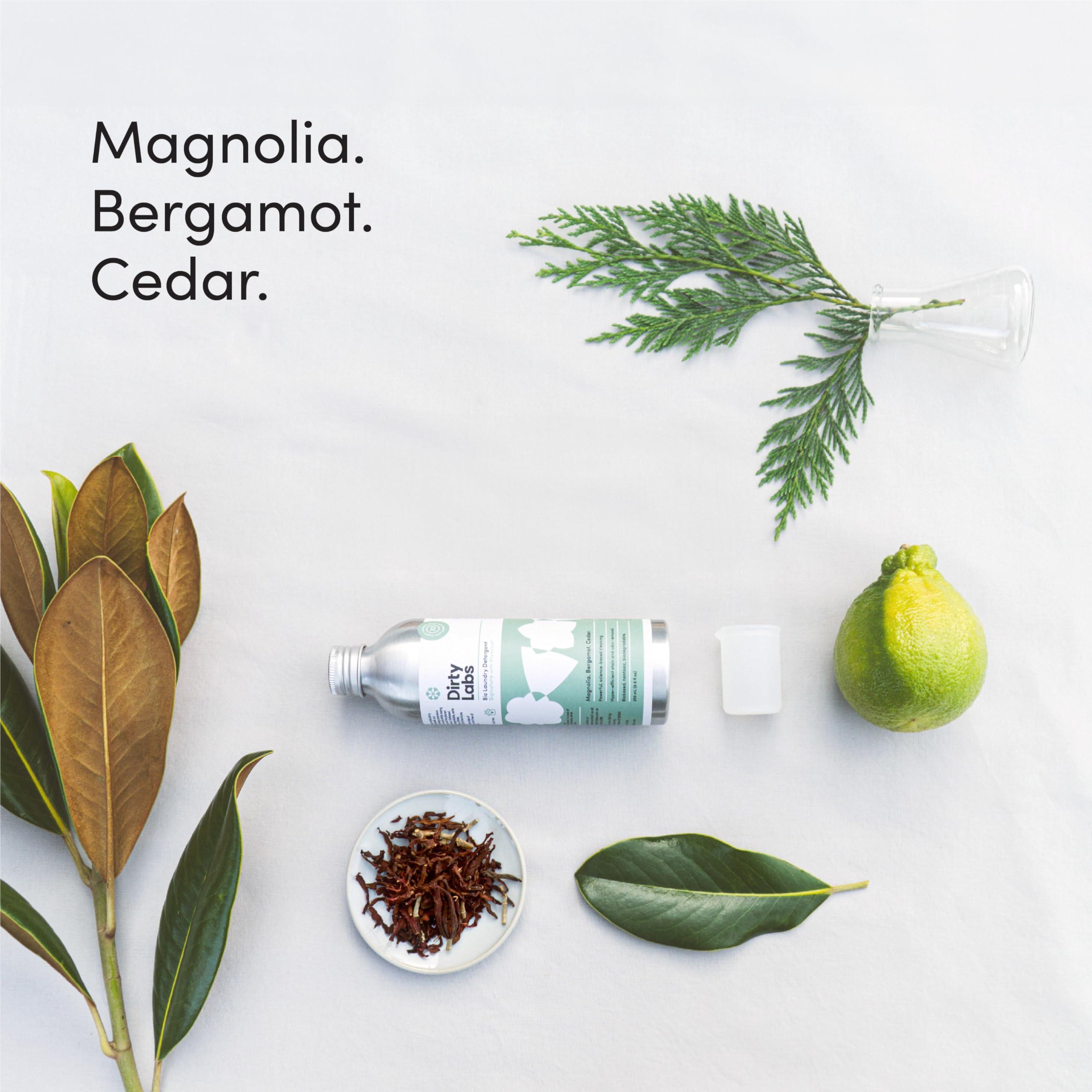 Dirty Labs Dirty Labs | Bio-Enzyme Laundry Starter Kit | Signature Detergent (32 Loads) & Bio Enzyme Booster (48 Loads) | Hyper-Concentrated | High Efficiency & Standard Machine Washing | Nontoxic, Biodegradable