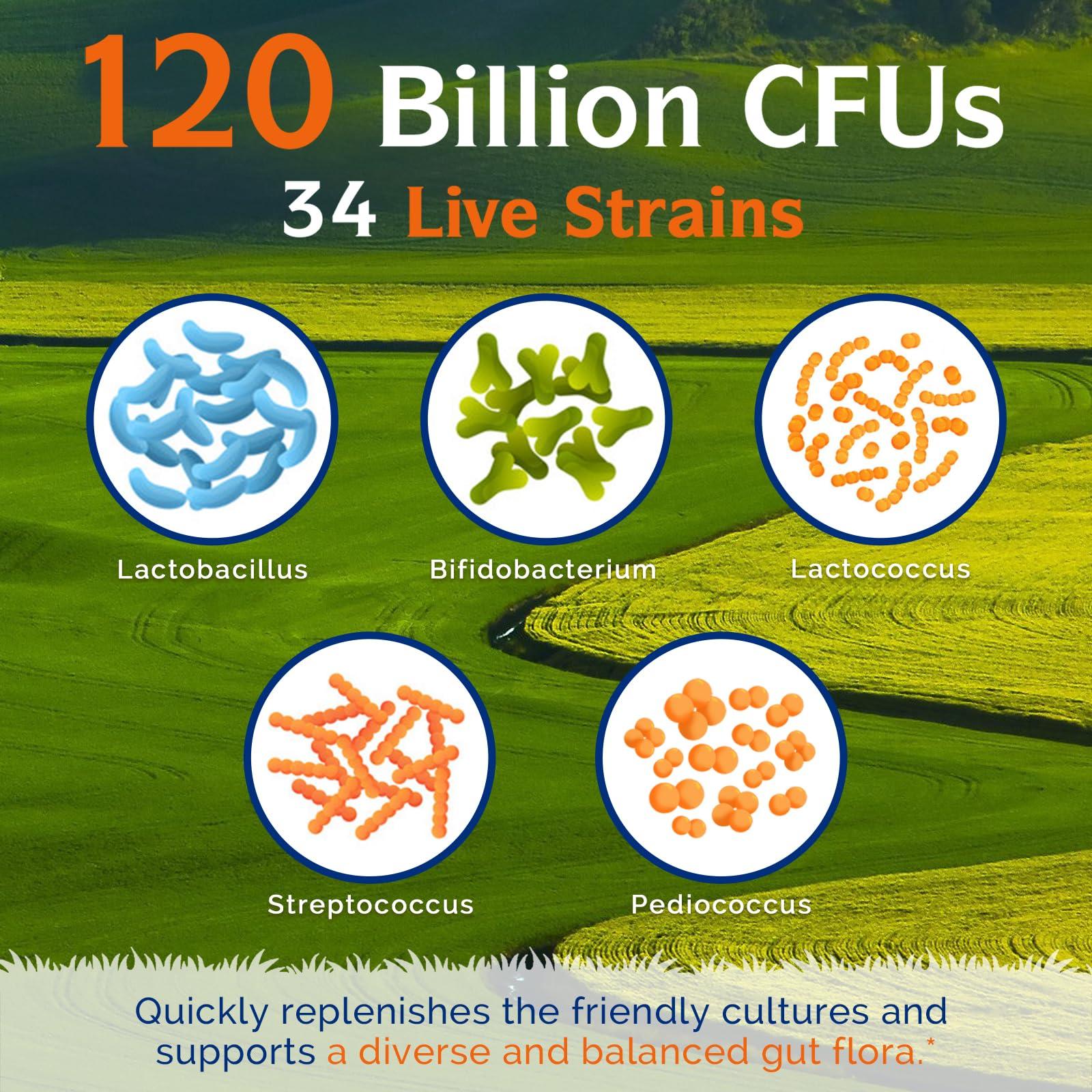 Innate Vitality Innate Vitality Probiotics 120 Billion CFUs for Men & Women, 34 Strains with Prebiotics & Digestive Enzymes, Immune & Digestive Health, Delayed Release, Shelf Stable, 30 Vegan Capsules