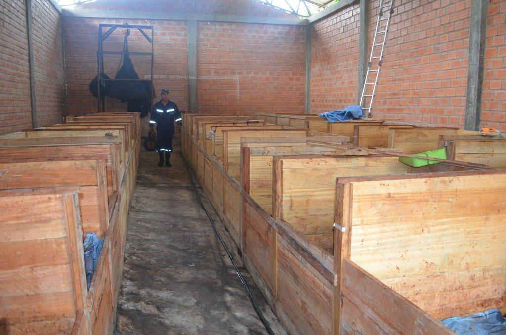 Alto Beni Cacao Company 1 lb BOLIVIA ALTO BENI, HEIRLOOM, ORGANIC RAW CACAO/COCOA BEANS