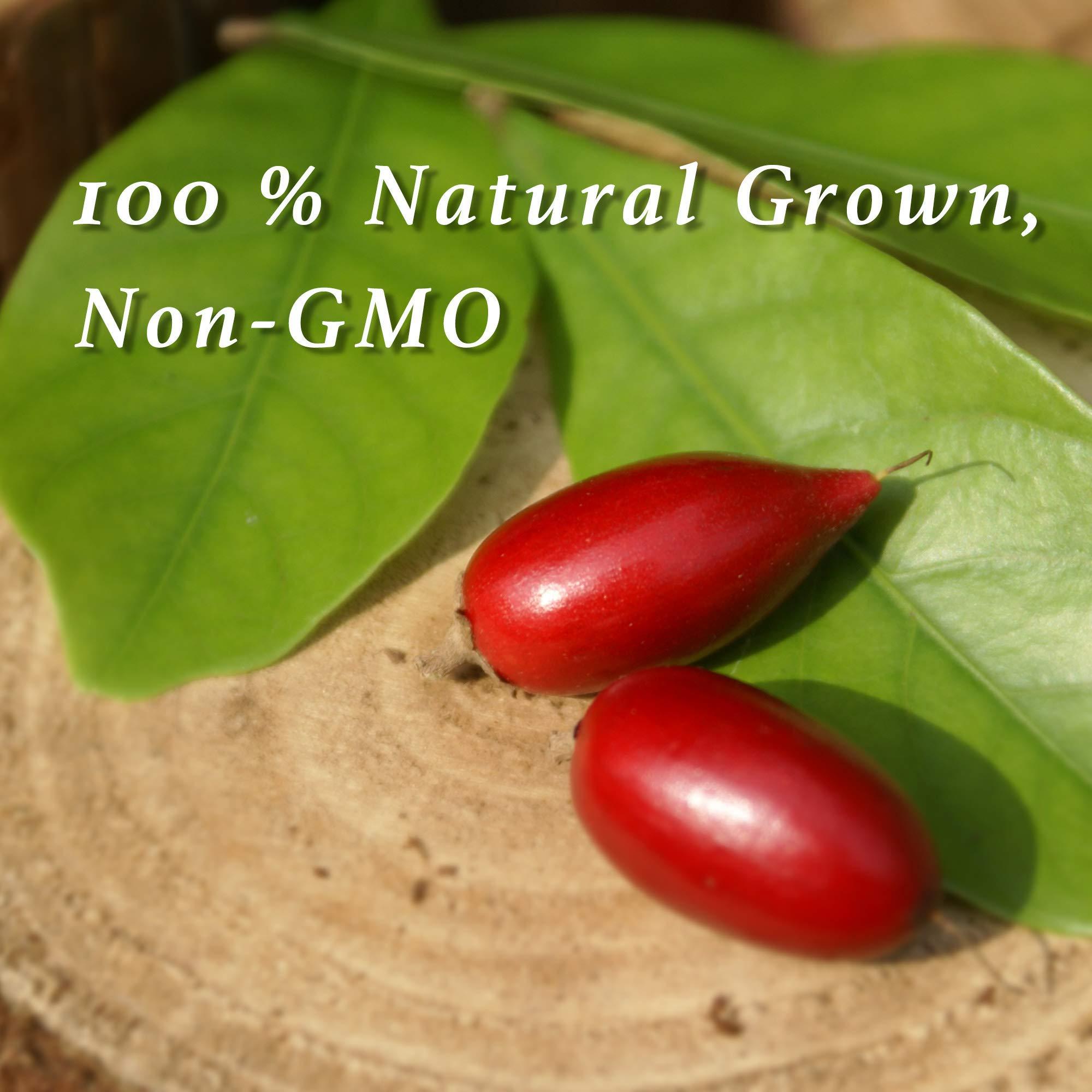 Miracle Frooties Miracle Frooties Miracle Berry Fruit Tablets, Sour to Sweet Flavor Change, Taste Shift Magic Miraculin, Sugar Free Cut Sugar Intake 100% Natural Grown, 10 Count Green Box