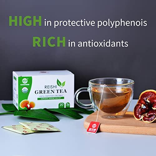 GANOHERB Ganoherb Reishi Mushroom Latte Coffee and Reishi Mushroom Green tea