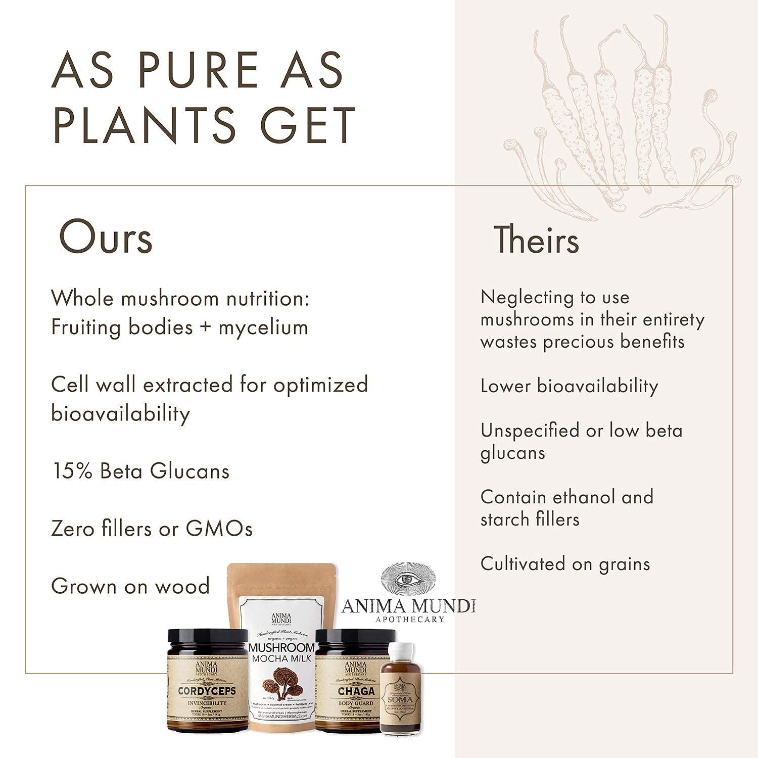 Anima Mundi Apothecary Anima Mundi Chaga Mushroom Powder - Organic Chaga Mushroom Powder - Immune System Support Supplement with Organic Chaga Extract Powder - Great for Tea, Coffee and More - Anima Mundi Supplements (5oz)