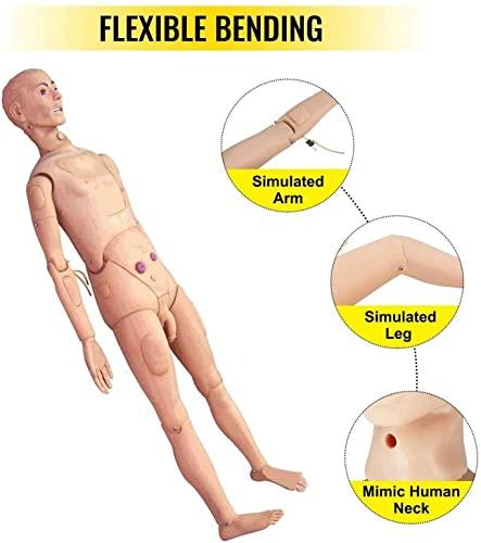 HIMFL Demonstration Human Manikin,Male and Female Nursing Manikin Life Size Patient Care Manikin for The Cure of The Patient Didactic Material in