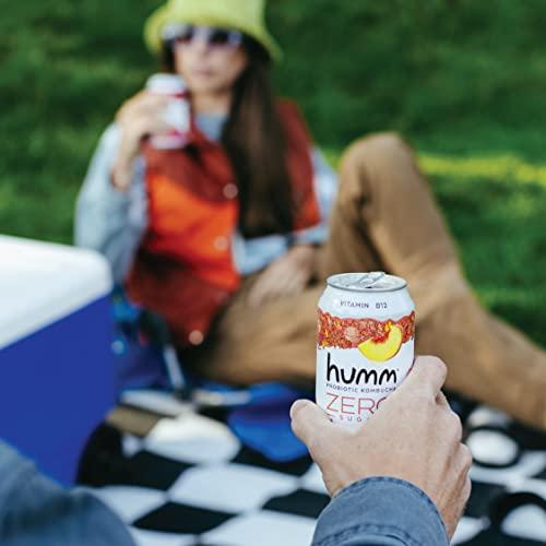 Humm Humm Probiotic Kombucha Zero Sugar Variety Pack - No Refrigeration Needed, Keto Friendly, Organic, Vegan, Gluten Free - 12oz Cans (16 Pack)