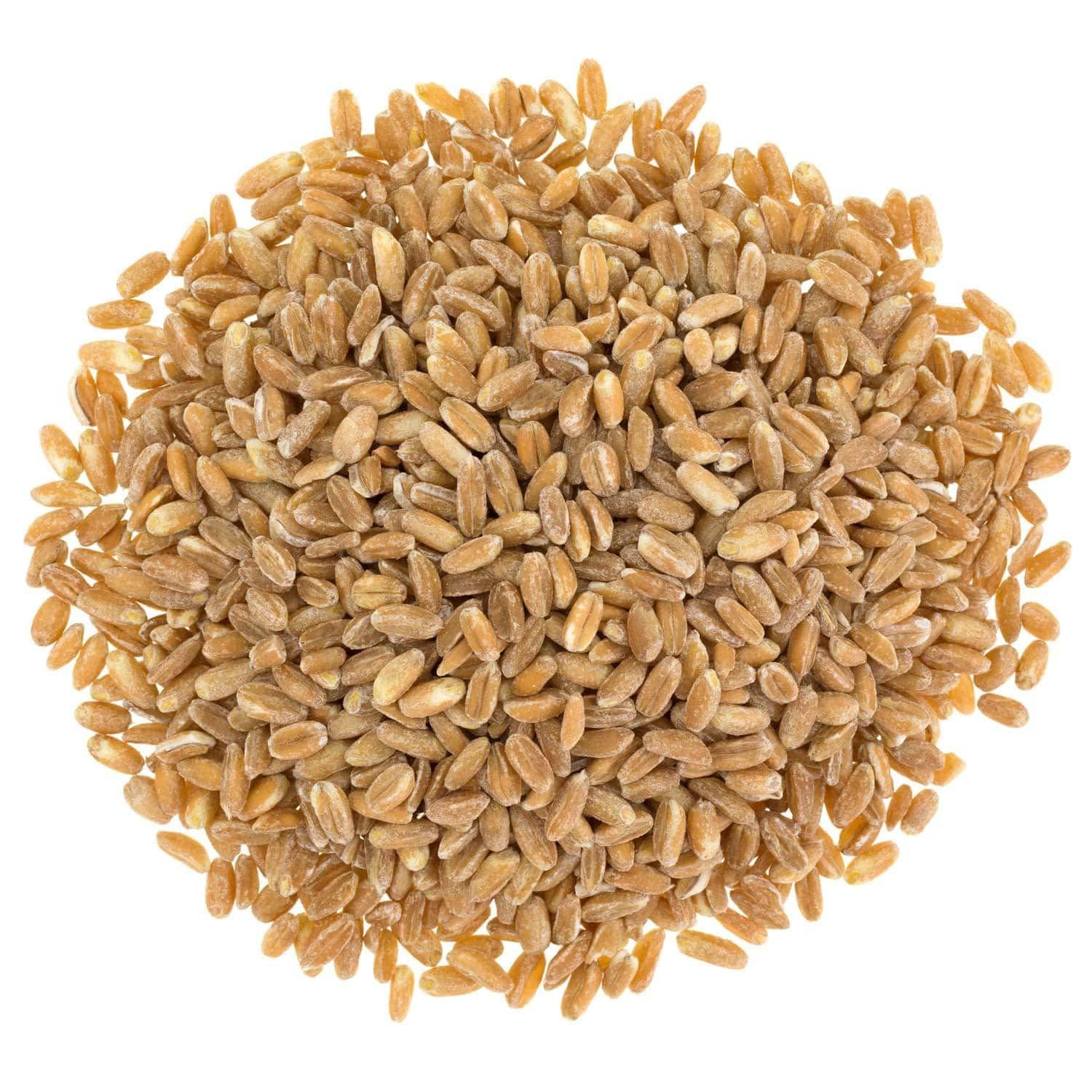 Food to Live Food to Live Organic Italian Pearled Farro, 8 Pounds Non-GMO, Kosher, Vegan, Whole Farro Grain in Bulk. Good Source of Fiber and Protein. Free of Sodium and Sugar