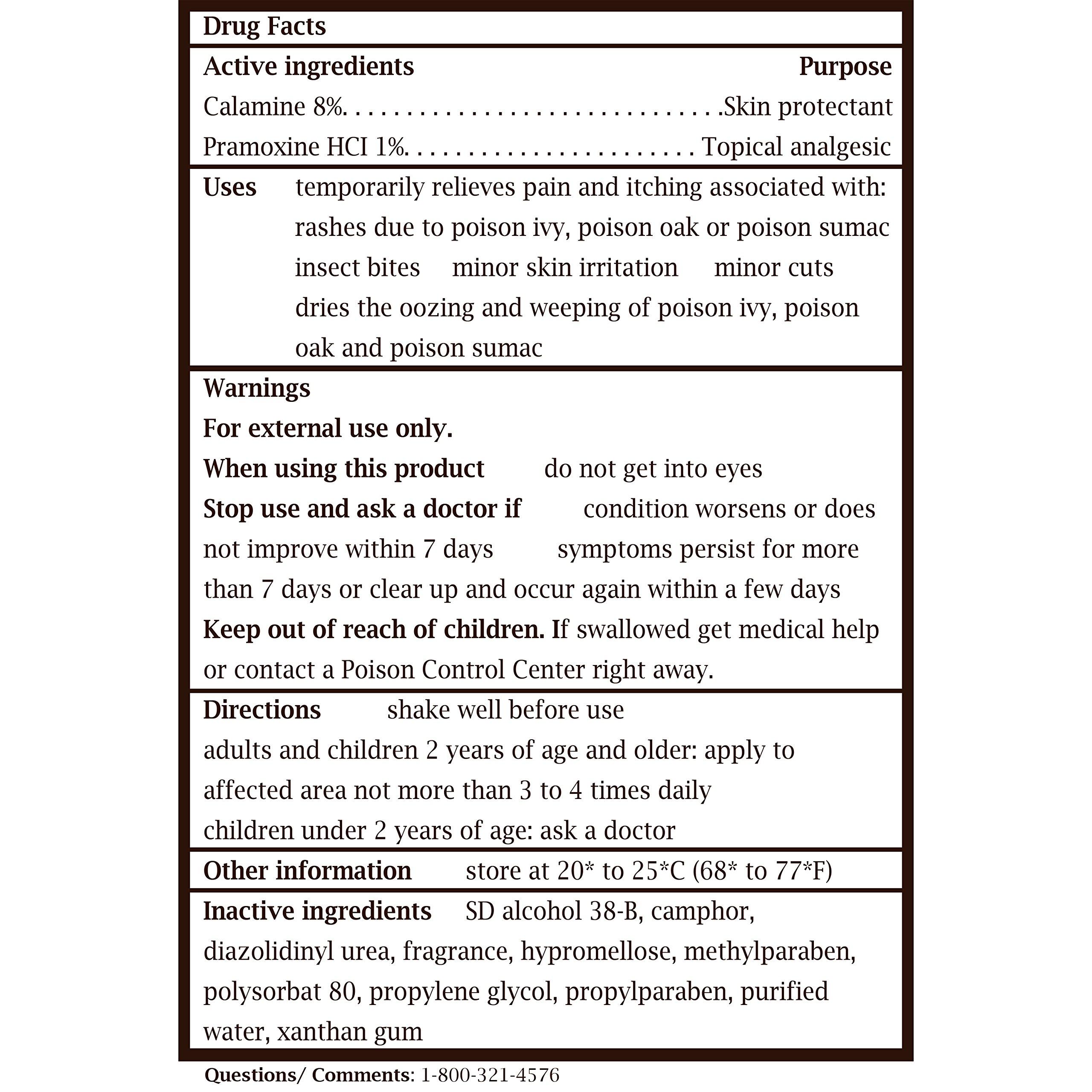 Caladryl Caladryl Calamine Lotion, Skin Protectant Plus Itch Relief, 6 Fl Oz (Pack of 2)