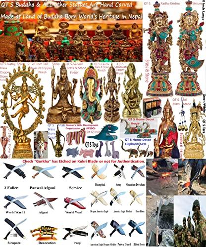 Snow Hill Authentic Nepali Lapsi Ko Achar (Hog Plum) Whole Seeds Pulp Gravy - Natural Typical Nepali Flavor Lapsi Pickle Little Sweet, Sour and Spicy Mix Pickles - 500G By QT Shopping (200grm)