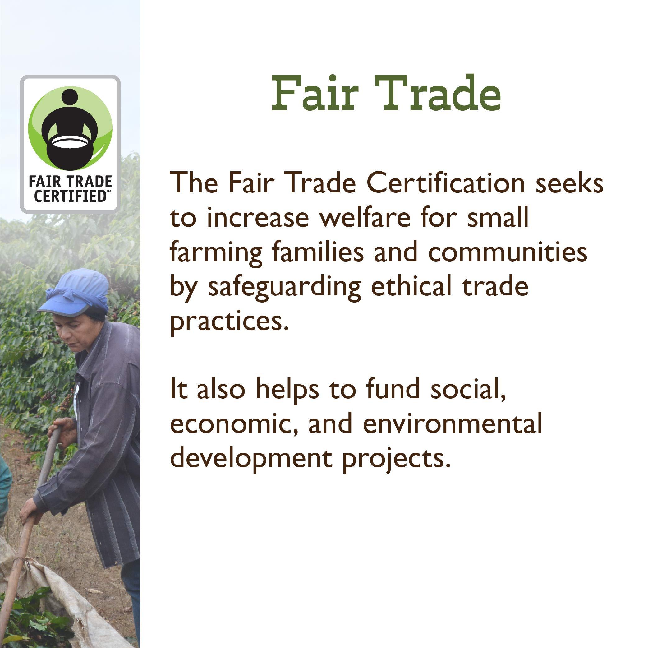 Fresh Roasted Coffee LLC Fresh Roasted Coffee, Fair Trade Organic Honduran Water-Processed Decaf, 2 lb (32 oz), Kosher RFA, Medium Roast, Whole Bean