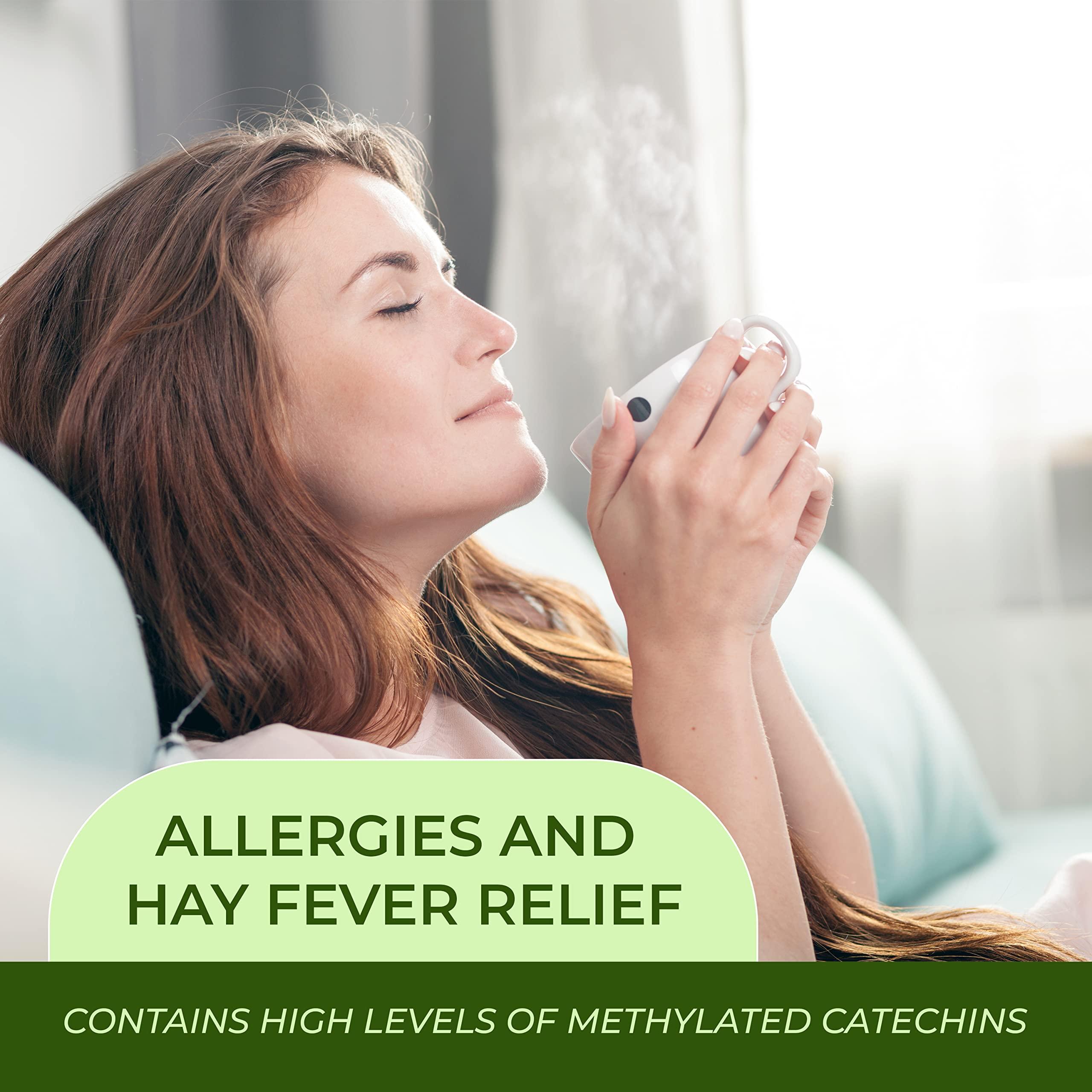 JAPANESE GREEN TEA CO. HARVESTED WITH IN JAPAN Benifuuki candy and Green tea bags (30 packs) from Japanese Green Tea Co – Relaxation Green Tea – Easy to Prepare - Non-GMO - Ideal for Tea Lovers