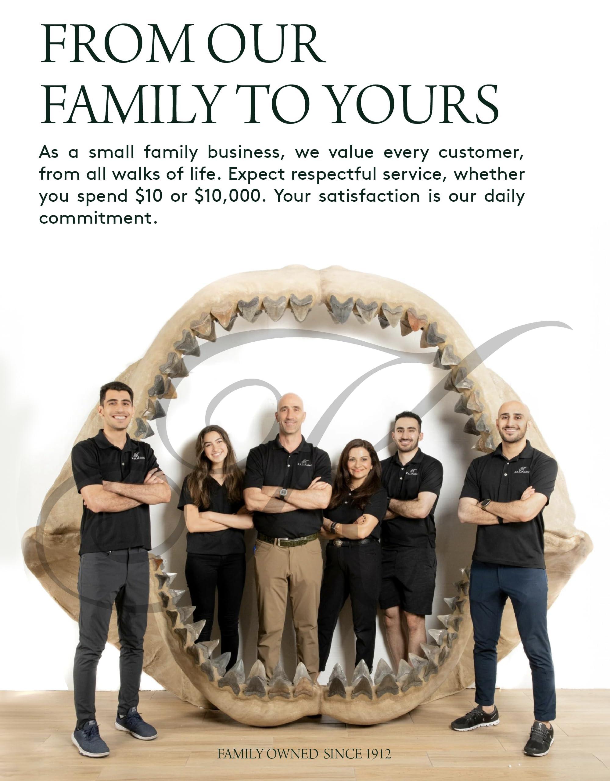 VITALVARIETY Dawn Dish Soap Dishwashing Liquid Refill Hand Soap 90 oz. Apple Blossom Scent Bundled with Microfiber Cleaning Cloth