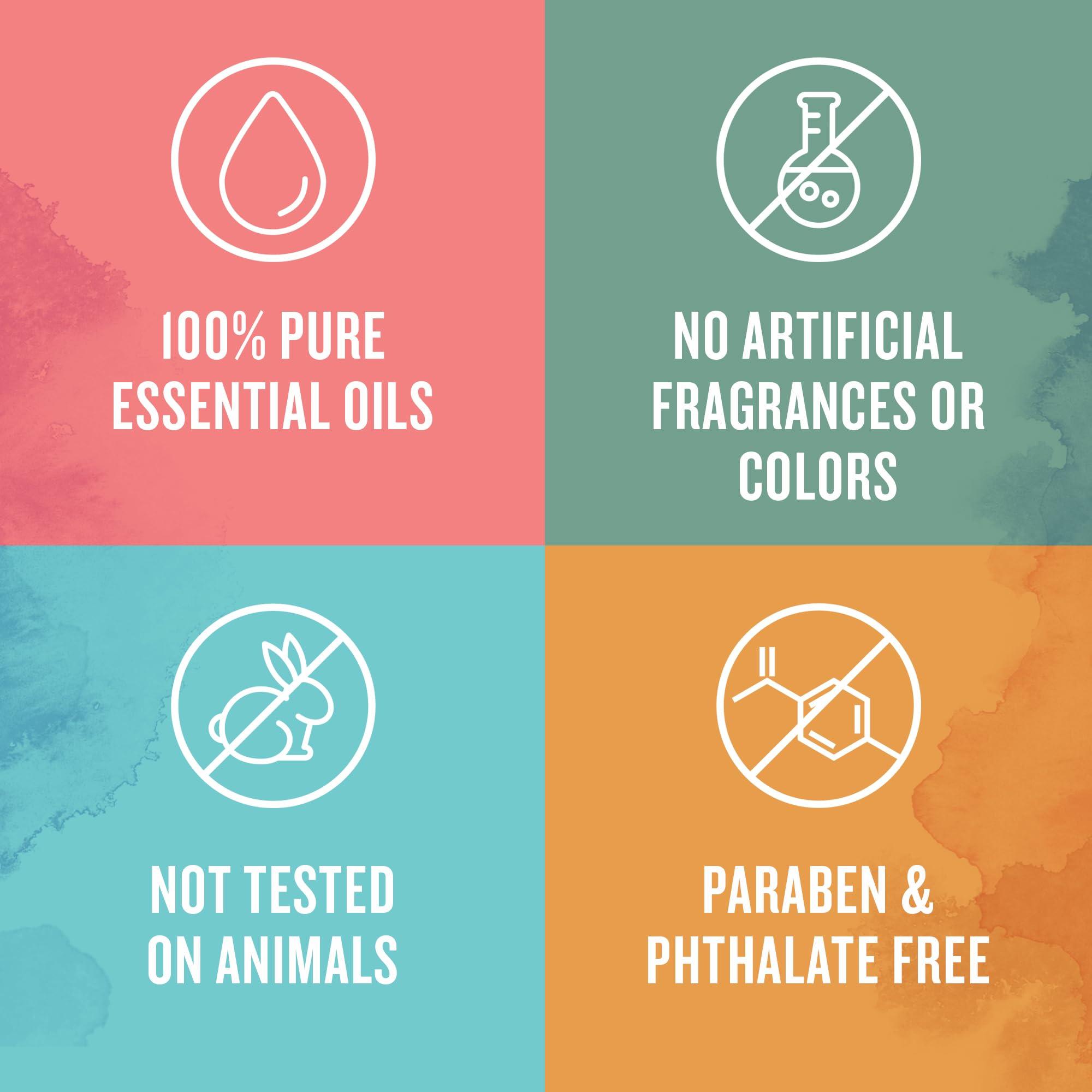 Aura Cacia Aura Cacia Eucalyptus (globulus) Essential Oil 4 fl. oz.