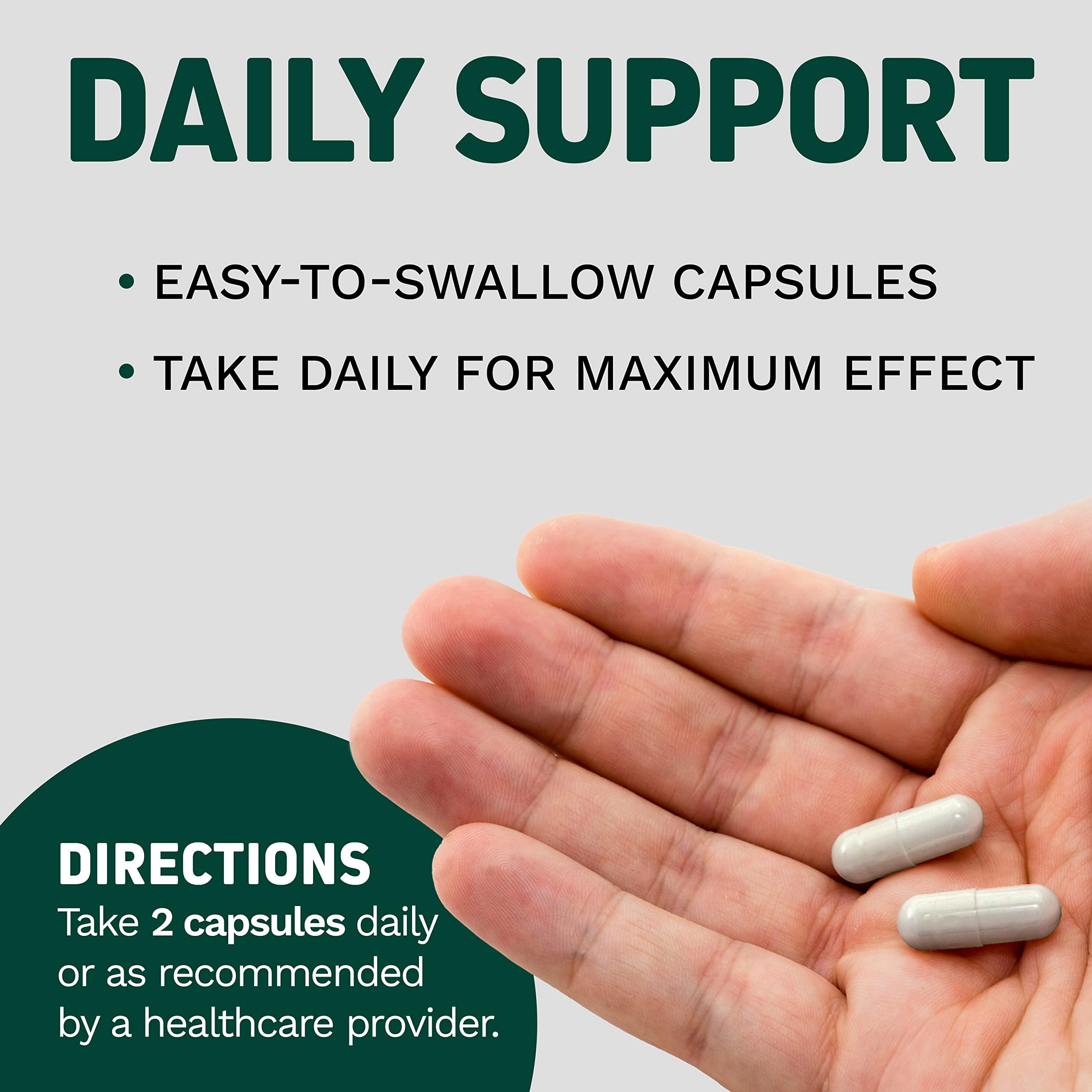 Herbtonics Foli-Tonic DHT Blocker & Hair Loss Supplement | Hair Thinning Treatment & Promotes Healthy Thicker Hair Growth - Prostate Support Supplement for Men\'s Health - Saw Palmetto & Beta Sitosterol Formula