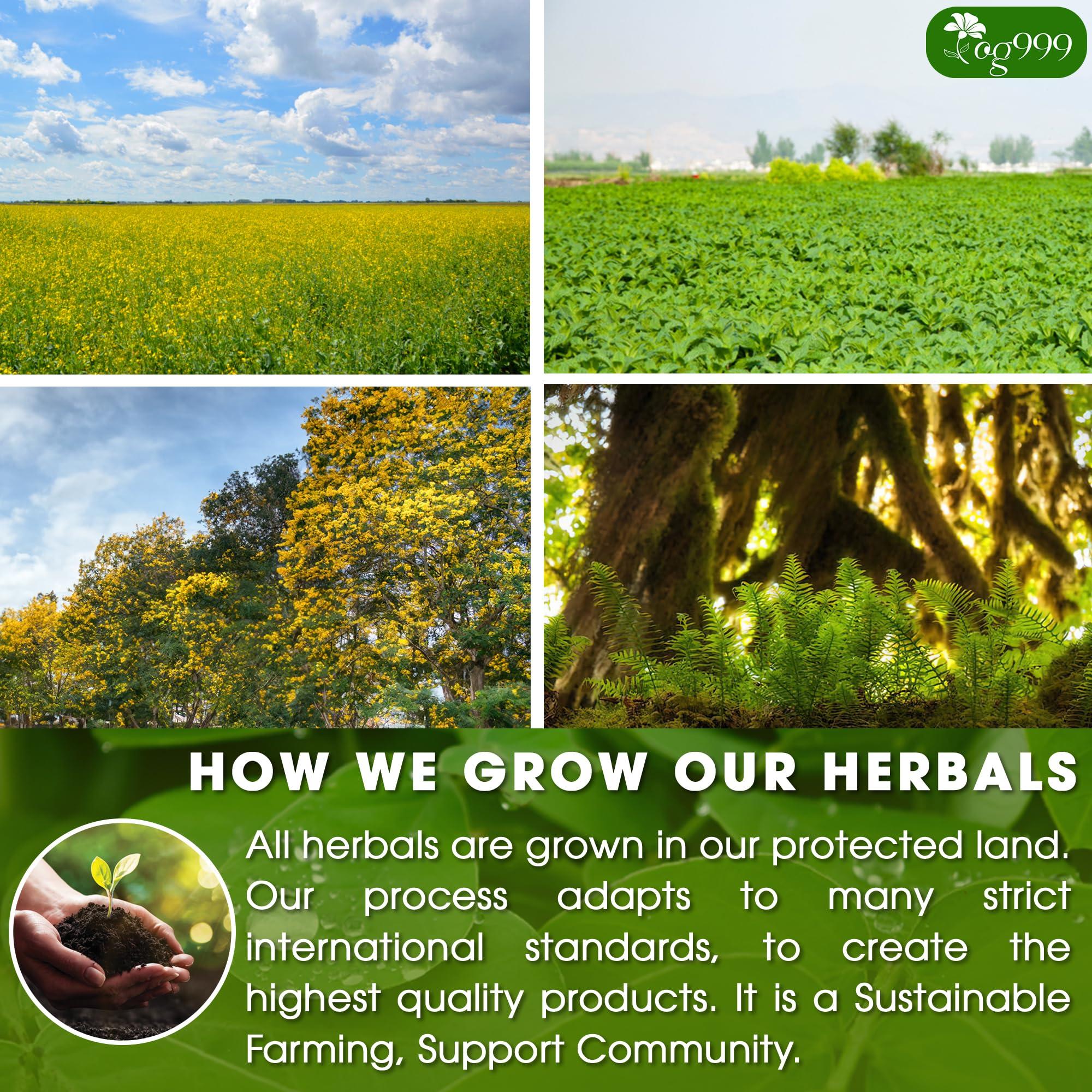 TOG999 100 Tea Bags Relieves Constipation Natural Tea, Blend of Senna Leaves - Peppermint - Licorice - Fennel, 100% Natural Ingrendients, Hand-made Herbal Tea, No Sugar, No Caffeine, No Gluten, Vegan.