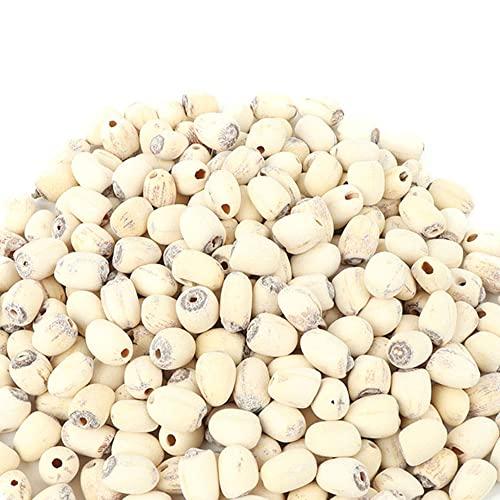 PALPLUS Organic Natural Pure Lotus Seed Dried Bulk Herbs (10.58 Ounce (300gram))