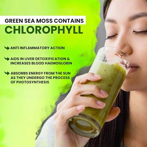 BUIE HOLISTIC HERBS Green Irish Sea Moss, 8 Oz | Dr. Sebi Inspired | Organic Green Sea Moss | Make 120+ oz Sea Moss Gel | Sun-Dried Sea Moss from Coast of St. Lucia