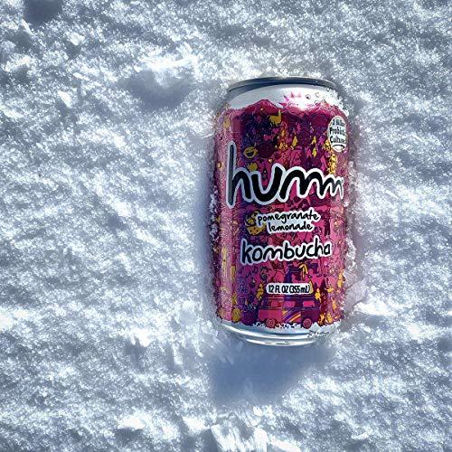 Humm Humm Kombucha Pomegranate Lemonade - Organic, Vegan & GMO-Free (12 Pack)