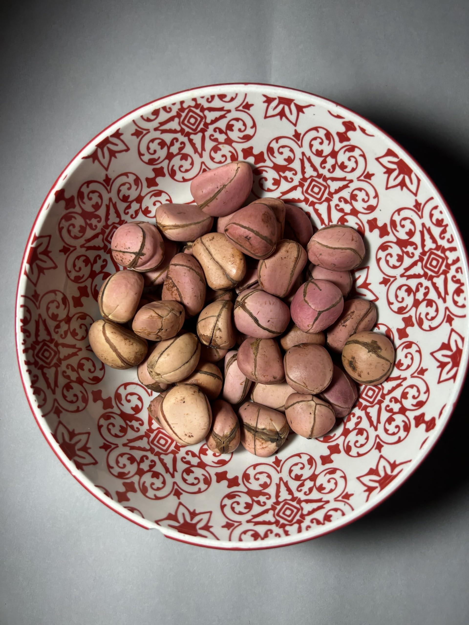 Housoutil Housoutil 2 Pcs Plastic Wash Basin Round Dish Pan Wash Tub Bathroom Water Tub Face Cleansing Basin for Home Kitchen and Camping M