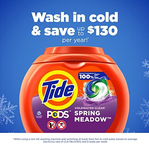 Tide Tide PODS Laundry Detergent Soap Pods, Spring Meadow, 81 count