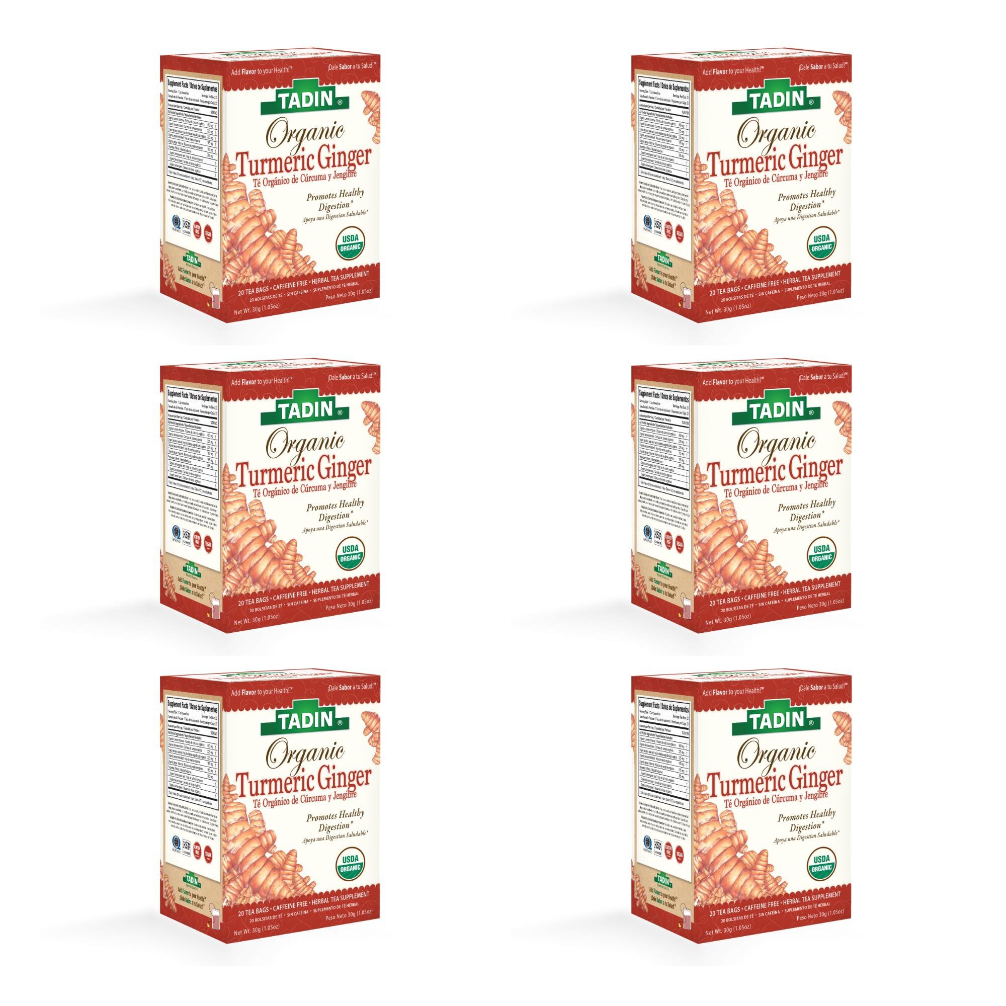 Tadin Herb and Tea Tadin Organic Turmeric Ginger Tea, Herbal Tea, Digestive Tea, Organic Tea, Ginger Turmeric Tea, Caffeine Free Tea, Wellness Tea, 20 Tea Bags Per Box, Pack of 6