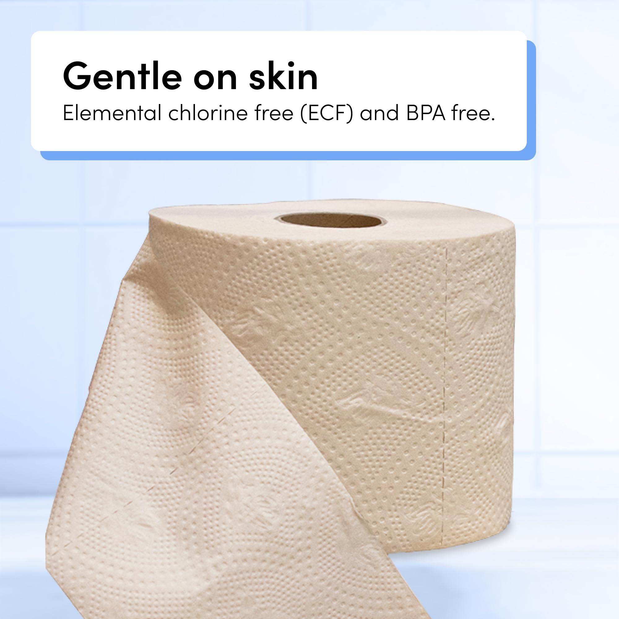 TUSHY TUSHY Premium Bamboo Toilet Paper - 100% Bamboo - 3 Ply, 300 Sheets Per Roll (TUSHY Premium Bamboo Toilet Paper - 48 Pack)