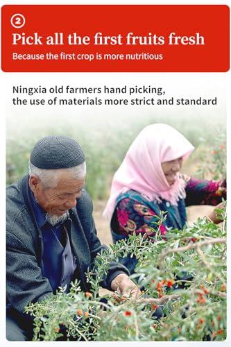 hee creek Goji Berries Fruit Puree Raw Liquid Drink (Wolfberries Juice) 100% pure juice Undiluted -15ml*20 PCSNo Added Sugar wolfberry tea goji puree goji juice (Wolfberries)