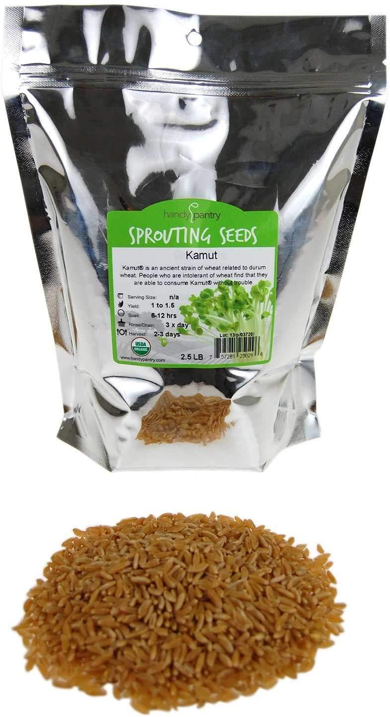 Handy Pantry Organic Kamut Seed- 1 Lb- Kamut Grain Seeds- for Growing Kamut Grass, Flour, Bread, Baking, Cooking, Food Storage, Sprouting