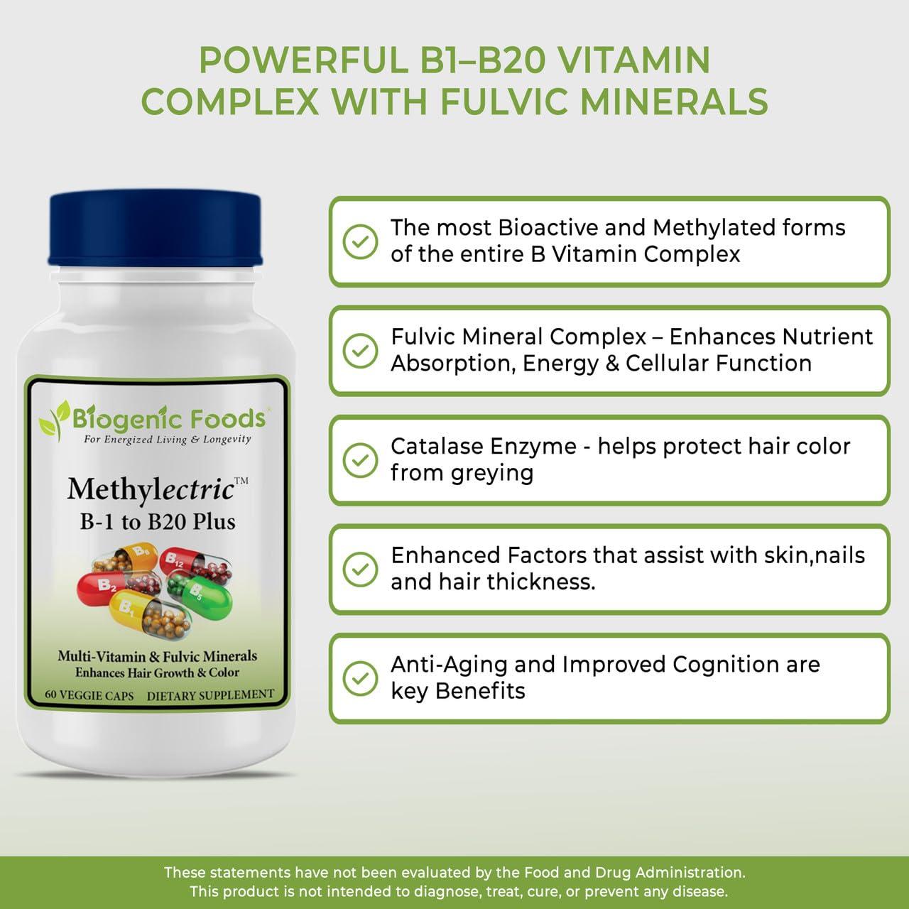 Biogenic Foods Methylectric B-50 Complex - Methylated B1 - B20 Multi-Vitamin and Fulvic Minerals, Veggie Caps